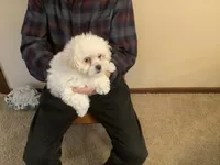 processed/ba217b64-f527-49af-b360-87e129252a7d/listing/0b5a70ef-68c8-4f4a-bca0-1759c981967d/a054d12f-f9fb-4c30-b90e-2d96230809ad