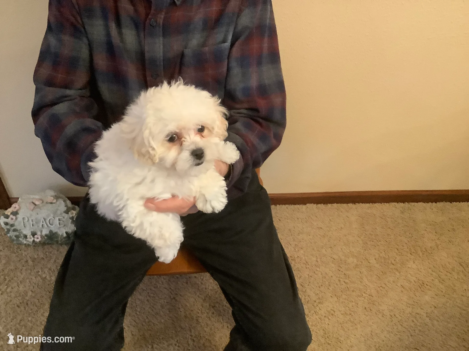 processed/ba217b64-f527-49af-b360-87e129252a7d/listing/0b5a70ef-68c8-4f4a-bca0-1759c981967d/bfdac86b-336c-417e-8b19-96fca848ca7c