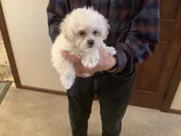 processed/ba217b64-f527-49af-b360-87e129252a7d/listing/0b5a70ef-68c8-4f4a-bca0-1759c981967d/cd43c748-a553-4375-b5e0-480c2ae752d9