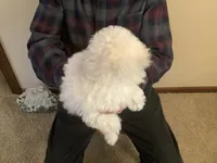 processed/ba217b64-f527-49af-b360-87e129252a7d/listing/0b5a70ef-68c8-4f4a-bca0-1759c981967d/ffecbdcc-cca2-47a7-8a9c-d6f4229ad4d0