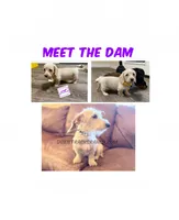 processed/ba2b7f16-0561-4c08-a562-78784034bbaa/listing/0f51aaa6-3a2b-4d53-ac0a-0496779954d6/84366524-71ae-4350-80e5-1bdc83d632fb