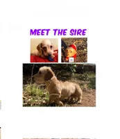 processed/ba2b7f16-0561-4c08-a562-78784034bbaa/listing/0f51aaa6-3a2b-4d53-ac0a-0496779954d6/c7596a84-da87-48a4-941c-b9841bc7c977