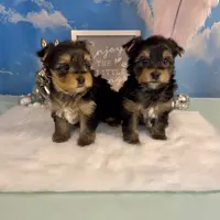 processed/ba43a43d-c8f6-43fd-957f-eb719dec3e6b/facility/1c928cda-a139-46e2-9b71-304303d1e437