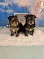 processed/ba43a43d-c8f6-43fd-957f-eb719dec3e6b/facility/1c928cda-a139-46e2-9b71-304303d1e437