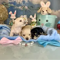 processed/ba43a43d-c8f6-43fd-957f-eb719dec3e6b/facility/2af2d780-4936-4d9e-b586-8755dc1a4d49