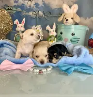 processed/ba43a43d-c8f6-43fd-957f-eb719dec3e6b/facility/2af2d780-4936-4d9e-b586-8755dc1a4d49