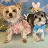 processed/ba43a43d-c8f6-43fd-957f-eb719dec3e6b/facility/47ad5ff1-57aa-4f2d-b6a2-9643fa0e8a4a