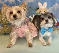 processed/ba43a43d-c8f6-43fd-957f-eb719dec3e6b/facility/47ad5ff1-57aa-4f2d-b6a2-9643fa0e8a4a