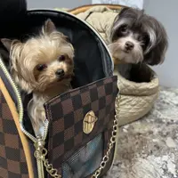 processed/ba43a43d-c8f6-43fd-957f-eb719dec3e6b/facility/4ca8d6b4-0ad3-4d20-9bfd-c9805dfd159f