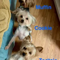 processed/ba43a43d-c8f6-43fd-957f-eb719dec3e6b/facility/8c37fa40-9088-4246-a77b-ddb43280b6fc