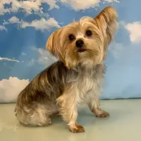 processed/ba43a43d-c8f6-43fd-957f-eb719dec3e6b/facility/8e83c2aa-302a-45c7-a045-3ad62b91e0d8