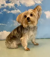 processed/ba43a43d-c8f6-43fd-957f-eb719dec3e6b/facility/8e83c2aa-302a-45c7-a045-3ad62b91e0d8