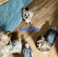 processed/ba43a43d-c8f6-43fd-957f-eb719dec3e6b/facility/a354f43a-d36f-4ad1-aa92-3399f57a2cab