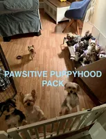 processed/ba43a43d-c8f6-43fd-957f-eb719dec3e6b/facility/e0dc3899-fe28-4ef3-8636-ee85b6d2bfea