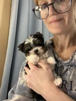 processed/ba43a43d-c8f6-43fd-957f-eb719dec3e6b/listing/2a8d2456-823b-4dbe-be19-d05820bc3bce/1e1f015e-1b02-40f9-ae6e-4ef156bae925