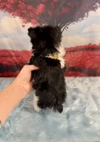 processed/ba43a43d-c8f6-43fd-957f-eb719dec3e6b/listing/2a8d2456-823b-4dbe-be19-d05820bc3bce/b1c58c77-1293-4f81-9d4e-6eb9ff51f3ed