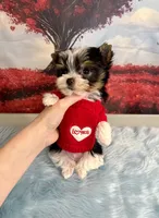 processed/ba43a43d-c8f6-43fd-957f-eb719dec3e6b/listing/2a8d2456-823b-4dbe-be19-d05820bc3bce/c0e29186-af4b-4497-9d53-9b480dd18cfc