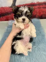 processed/ba43a43d-c8f6-43fd-957f-eb719dec3e6b/listing/2a8d2456-823b-4dbe-be19-d05820bc3bce/d20b7818-91b4-4230-8080-2751c28cfc1d