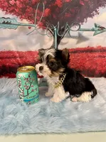 processed/ba43a43d-c8f6-43fd-957f-eb719dec3e6b/listing/2a8d2456-823b-4dbe-be19-d05820bc3bce/dc67ea58-ecc7-4140-9d06-12cc5e97cf1d