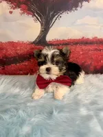 processed/ba43a43d-c8f6-43fd-957f-eb719dec3e6b/listing/2a8d2456-823b-4dbe-be19-d05820bc3bce/e1223377-51b5-468f-9ebb-3aec21336779