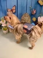 3lb Willie Wonka, a male Yorkshire Terrier for sale in Selmer, TN – Photo 8 of 10