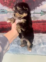 processed/ba43a43d-c8f6-43fd-957f-eb719dec3e6b/listing/8d044026-b5e8-4116-801d-67cdb72687e3/83121cd0-9ae8-41fc-9a7d-bdbacebe524a