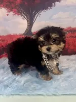 processed/ba43a43d-c8f6-43fd-957f-eb719dec3e6b/listing/8d044026-b5e8-4116-801d-67cdb72687e3/b8e4ac41-423a-4d7d-b685-71d4e3f4d047