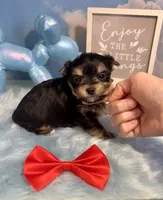 processed/ba43a43d-c8f6-43fd-957f-eb719dec3e6b/listing/8d044026-b5e8-4116-801d-67cdb72687e3/d5132b86-d296-41e1-b22b-3dd07e190f71