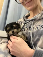 processed/ba43a43d-c8f6-43fd-957f-eb719dec3e6b/listing/8d044026-b5e8-4116-801d-67cdb72687e3/e22e59f1-8137-490c-9ba0-f16f1f7b9c02