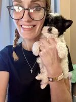 Zenna- Parti Teacup Female, a female Maltese and Yorkshire Terrier for sale in Selmer, TN – 8 of 8