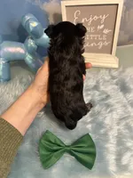 processed/ba43a43d-c8f6-43fd-957f-eb719dec3e6b/listing/c5d9a790-2ee2-49ae-a572-7d15ee158cc5/6128ecb4-10e0-44c7-bd7e-ecca7a3c5f48