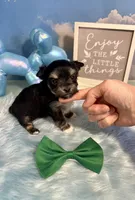 processed/ba43a43d-c8f6-43fd-957f-eb719dec3e6b/listing/c5d9a790-2ee2-49ae-a572-7d15ee158cc5/6bdfd2aa-fac6-4265-b28f-37ae54caba6f