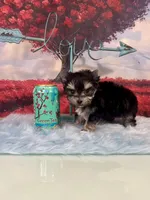 processed/ba43a43d-c8f6-43fd-957f-eb719dec3e6b/listing/c5d9a790-2ee2-49ae-a572-7d15ee158cc5/7f9dc12b-75a1-43c6-a5b7-e34defc585ae