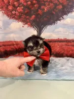 processed/ba43a43d-c8f6-43fd-957f-eb719dec3e6b/listing/c5d9a790-2ee2-49ae-a572-7d15ee158cc5/8836d57a-14d0-4b42-9d23-875f04a7a759