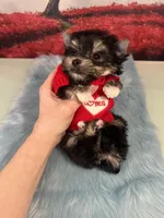 processed/ba43a43d-c8f6-43fd-957f-eb719dec3e6b/listing/c5d9a790-2ee2-49ae-a572-7d15ee158cc5/c44faad1-66a9-4b81-a950-82e42d43f65e