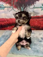 processed/ba43a43d-c8f6-43fd-957f-eb719dec3e6b/listing/c5d9a790-2ee2-49ae-a572-7d15ee158cc5/cad15eb1-a1e4-4673-8260-60e2330c0df5