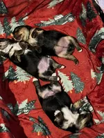 processed/ba43a43d-c8f6-43fd-957f-eb719dec3e6b/listing/ce40cab4-3c21-4bc8-9a52-846adc11328a/2e6665c5-b3c4-4f48-b1d9-4f44b7202e45