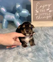 processed/ba43a43d-c8f6-43fd-957f-eb719dec3e6b/listing/ce40cab4-3c21-4bc8-9a52-846adc11328a/32122efa-eae3-4662-8637-9a613b5620ae