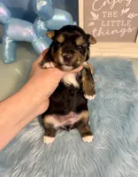 processed/ba43a43d-c8f6-43fd-957f-eb719dec3e6b/listing/ce40cab4-3c21-4bc8-9a52-846adc11328a/5f2b5ea7-6357-4d30-a120-1319f919ddcb