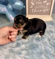 processed/ba43a43d-c8f6-43fd-957f-eb719dec3e6b/listing/ce40cab4-3c21-4bc8-9a52-846adc11328a/62094f5b-5616-4b0e-816a-5dd3ed50297a