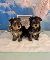 processed/ba43a43d-c8f6-43fd-957f-eb719dec3e6b/listing/ce40cab4-3c21-4bc8-9a52-846adc11328a/b5883221-1219-453e-bc1c-a456bf0404fa