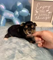 processed/ba43a43d-c8f6-43fd-957f-eb719dec3e6b/listing/ce40cab4-3c21-4bc8-9a52-846adc11328a/bb5ef7d3-e7ce-432b-8cfc-960241158948