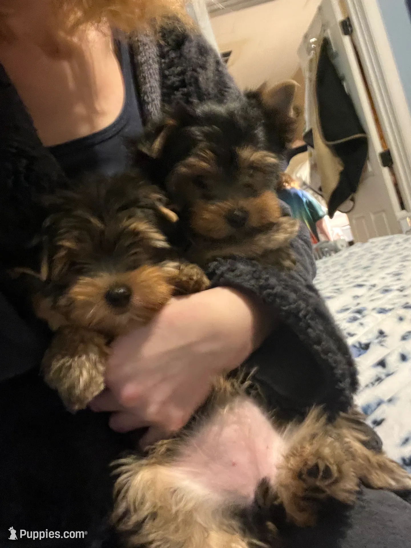 processed/ba43a43d-c8f6-43fd-957f-eb719dec3e6b/listing/ce40cab4-3c21-4bc8-9a52-846adc11328a/ef241fee-f909-42dd-b11e-129891f852ed