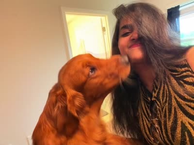 Alpha, a  Golden Retriever for sale in Wendell, NC – 8 of 9