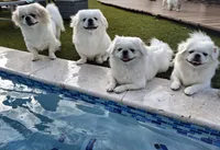 Facility photo
