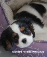 processed/ba6667e2-5941-4b95-9242-45fac66e6367/facility/0a584692-4c79-45e6-a41d-f0fe97f70c2b