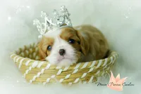 processed/ba6667e2-5941-4b95-9242-45fac66e6367/facility/1a0e6a73-e04c-43fb-b14c-f995198d89da