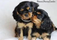 processed/ba6667e2-5941-4b95-9242-45fac66e6367/facility/6988b4ea-1b71-4340-9972-553d646244b3