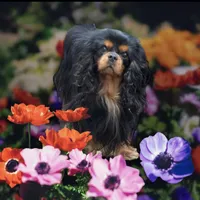 processed/ba6667e2-5941-4b95-9242-45fac66e6367/facility/7d49bb12-f526-4a00-83cb-9aa80101c76f