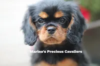 processed/ba6667e2-5941-4b95-9242-45fac66e6367/facility/ae76995c-d4c5-4483-ba27-bcd592090259